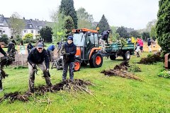 Setzlinge-werden-sortiert