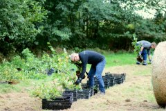 Einheitsbuddeln-2021-Citizens-Forests-Miyawaki