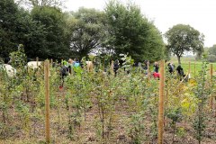 Einheitsbuddeln-2021-Citizens-Forests-Pflanzaktion-FB
