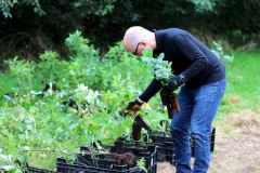 Einheitsbuddeln-2021-Citizens-Forests-Pflanzen-sortieren