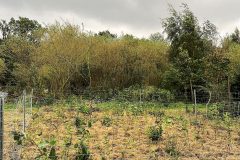 Miyawakiwlad-Elmshorn