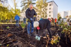 20231021_bi_pflanzung_erfurt_sofioter_strasse_124