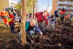 20231021_bi_pflanzung_erfurt_sofioter_strasse_225