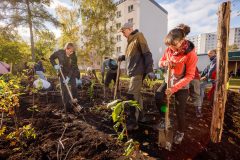20231021_bi_pflanzung_erfurt_sofioter_strasse_234