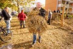 20231021_bi_pflanzung_erfurt_sofioter_strasse_358