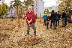 20231021_bi_pflanzung_erfurt_sofioter_strasse_416