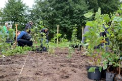 2020-Einheitsbuddeln-Citizens-Forests-Baeume