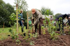 2020-Einheitsbuddeln-Citizens-Forests-Miyawaki