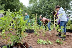 2020-Einheitsbuddeln-Citizens-Forests-Pflanzaktion