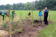 2020-Einheitsbuddeln-Citizens-Forests-Wildschutzzaun