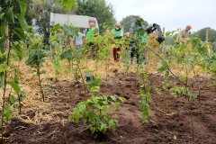 2020-Einheitsbuddeln-Citizens-Forests-mulchen