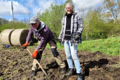 Die-Setzlinge-werden-gepflanzt