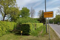 Tiny Forest in Bönningstedt Mai 2022 Citizens Forests