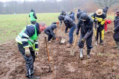 Freiwillige-Helfer-beim-Pflanzen-der-Setzlinge