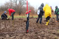 Pflanzen-bei-norddeutschem-Schietwetter