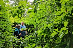 Citizens-Forests_Fuehrung-zum-Miyawaki-Wald-Boenningstedt_1