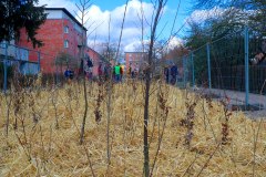 IMG_1808_1