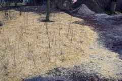 IMG_1848_1