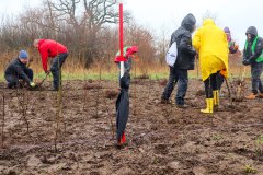 Trotz-Regen-gute-Laune-beim-Pflanzen