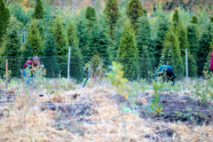 Pflanzaktion-Wedel-fertig-bepflanzt-