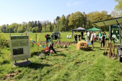 Pflanz in den Mai Citizens Forests