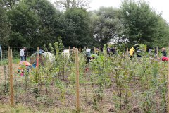 Einheitsbuddeln-2021-Citizens-Forests-Aufforstung