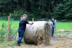 Einheitsbuddeln-2021-Citizens-Forests-Mulchen