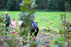 Einheitsbuddeln-2021-Citizens-Forests-Pflanzaktion-Miyawaki