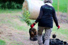 Einheitsbuddeln-2021-Citizens-Forests-Pflanzaktion-vorbereiten