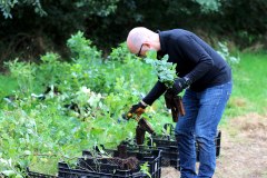 Einheitsbuddeln-2021-Citizens-Forests-Pflanzen-sortieren