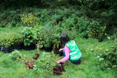 Einheitsbuddeln-2021-Citizens-Forests-Pflanzung-vorbereiten