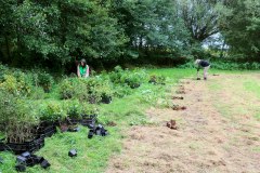 Einheitsbuddeln-2021-Citizens-Forests-Setzlinge-sortieren