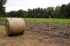 Einheitsbuddeln-2021-Citizens-Forests-vorbereitete-Flaeche