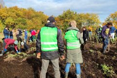 Pflanzaktion-Quickborn-Koordinatoren-von-Citizens-Forests